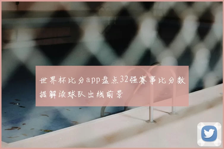 世界杯比分app盘点32强赛事比分数据解读球队出线前景